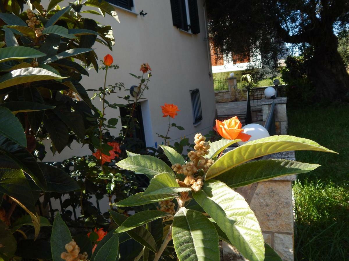 Villa Dimitra Sívota Extérieur photo